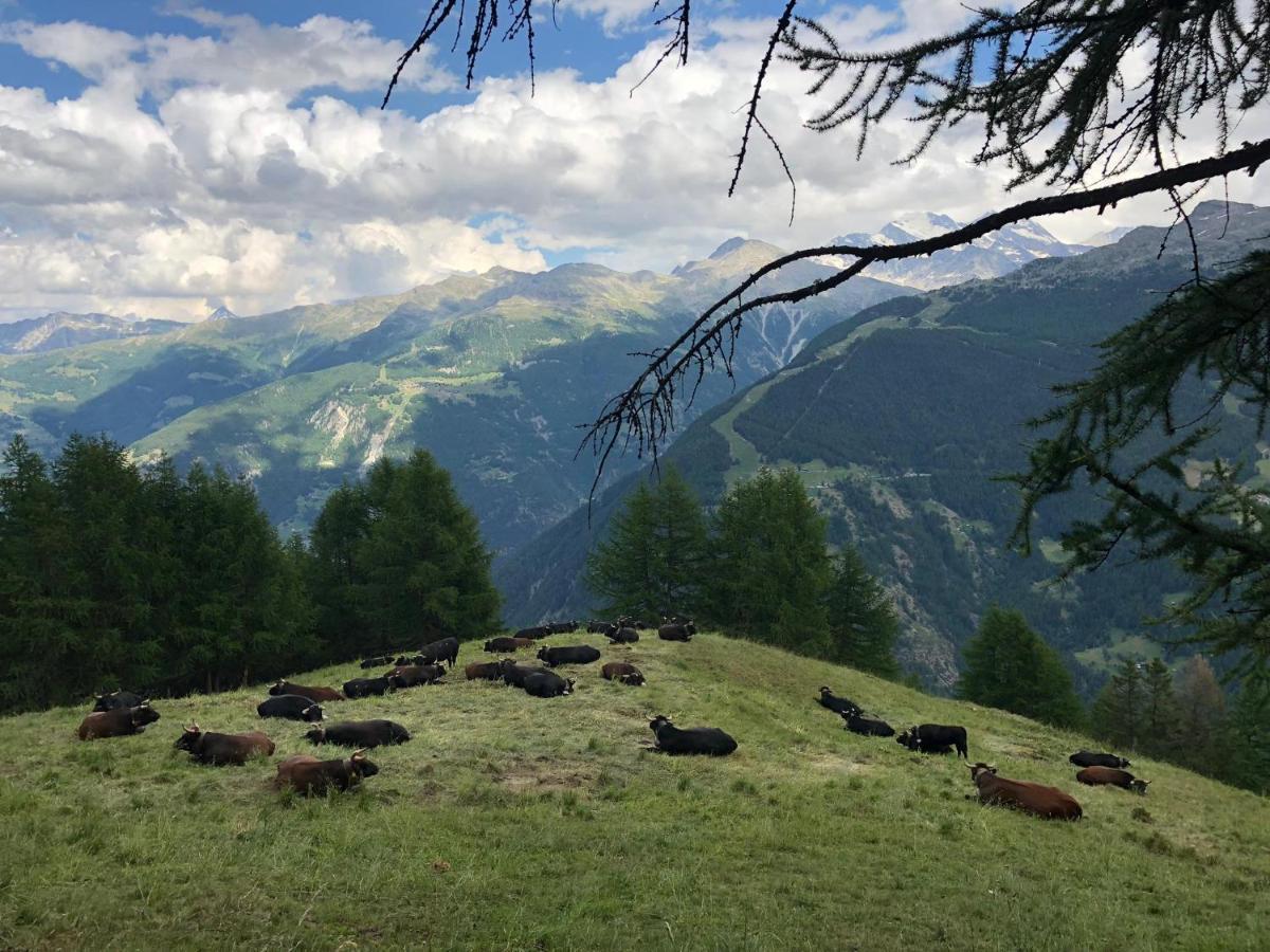 Embd Bergbeiz Morgenrot B&B المظهر الخارجي الصورة